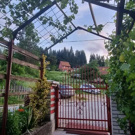 Angelina * Nova Varoš