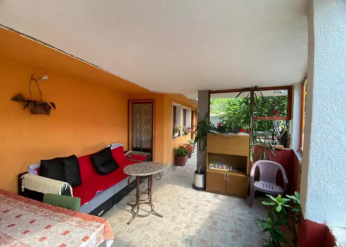 Angelina * Nova Varoš